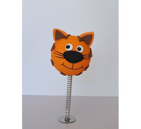 CAT TOM