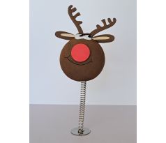 REINDEER