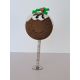 CHRISTMAS PUDDING